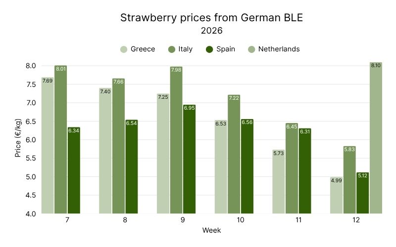 Strawberry prices from German BLE, 2026 (4).jpg